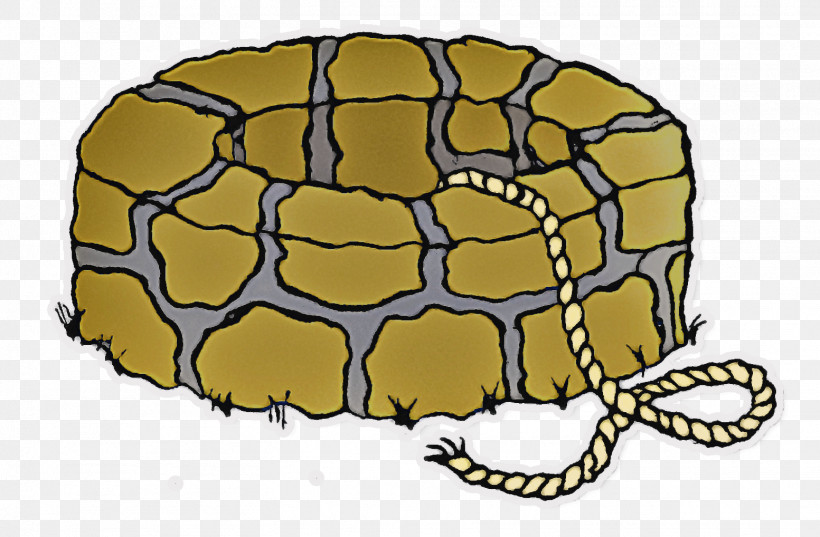 Tortoise Tortoise M Pattern, PNG, 1553x1018px, Tortoise, Tortoise M Download Free