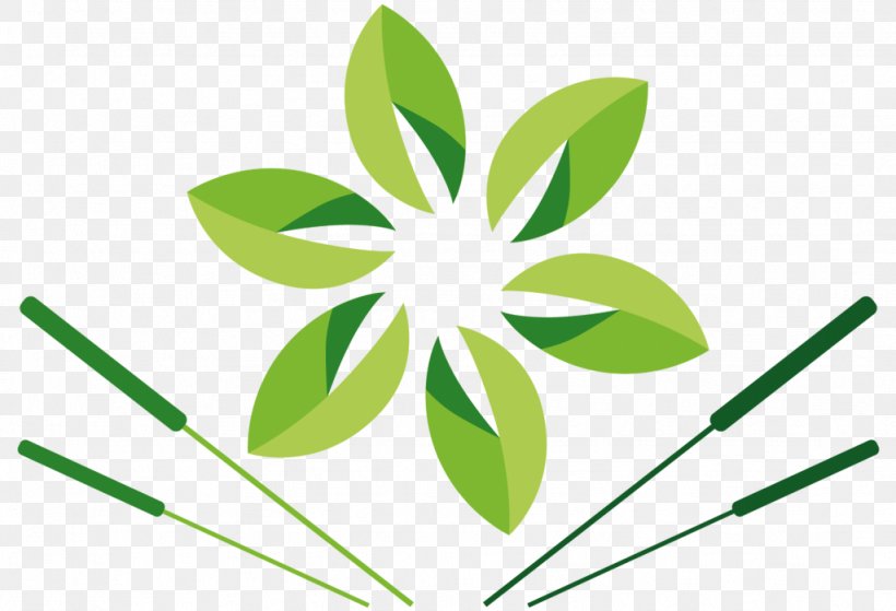 Leaf Grasses Plant Stem Tree Clip Art, PNG, 1024x699px, Leaf, Brand, Family, Flora, Flower Download Free