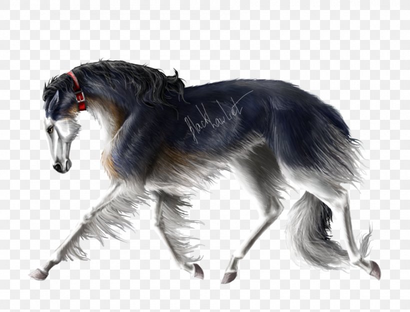 Saluki Borzoi Silken Windhound Irish Wolfhound Greyhound, PNG, 900x687px, Saluki, American Quarter Horse, Borzoi, Carnivoran, Dog Download Free