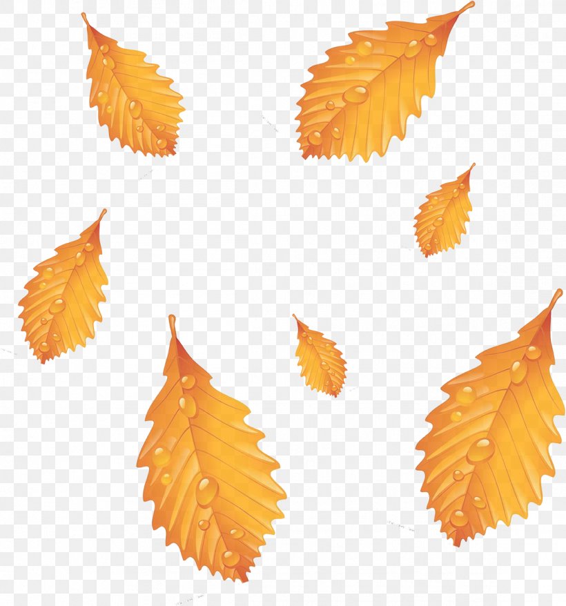 Autumn Leaf Deciduous Season, PNG, 1158x1240px, Autumn, Deciduous, Designer, Google Images, Leaf Download Free