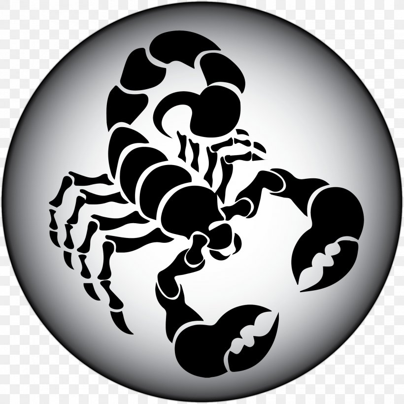 Scorpion Clip Art, PNG, 2120x2120px, Scorpion, Arachnid, Arthropod, Black And White, Drawing Download Free