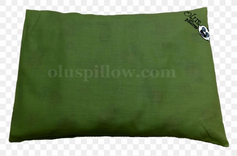 Throw Pillows Cushion Health Skull, PNG, 970x640px, Pillow, Bone, Cushion, Grass, Green Download Free