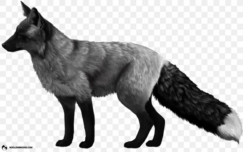 Domesticated Red Fox Arctic Fox Silver Fox Dog, PNG, 863x542px, Domesticated Red Fox, Animal, Arctic Fox, Black And White, Carnivora Download Free
