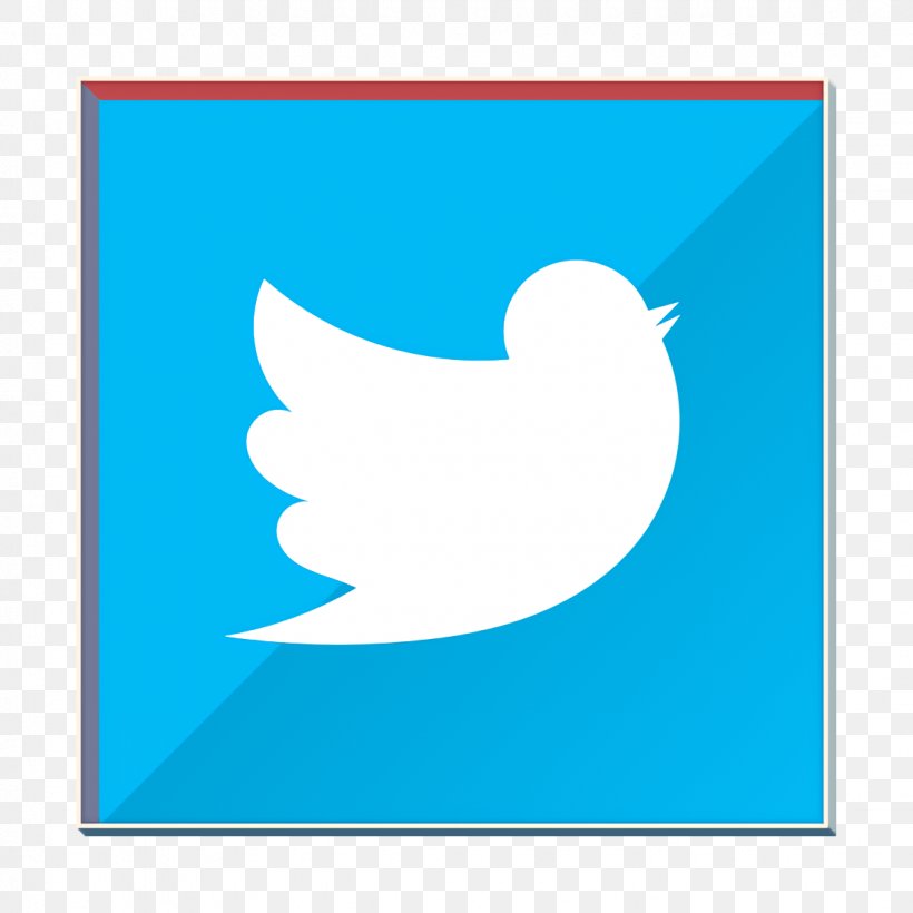 Icon Twitter, PNG, 1130x1130px, Blog Icon, Aqua, Bird, Internet, Micro Blog Icon Download Free