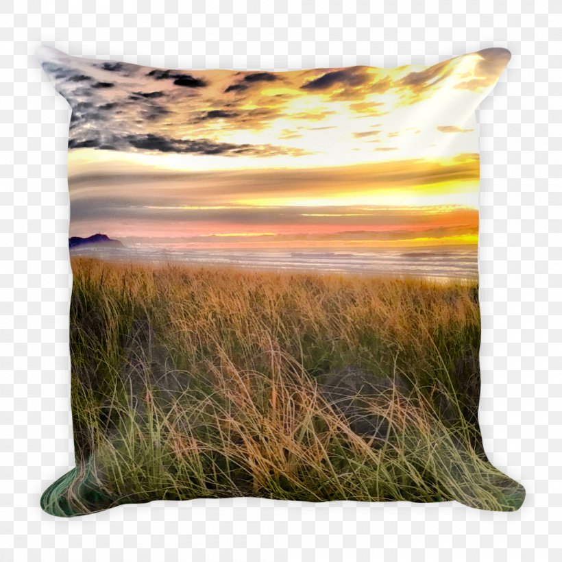 Throw Pillows Cushion Sky Plc, PNG, 1000x1000px, Throw Pillows, Cushion, Grass, Grass Family, Pillow Download Free