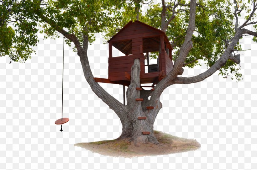 Tree House Living Room, PNG, 1098x727px, Tree House, Archdaily, Branch, Building, Furniture Download Free