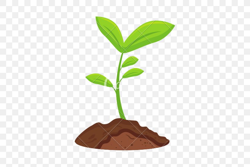 Vector Graphics Stock Photography Illustration Image Garden, PNG, 550x550px, Stock Photography, Flowerpot, Garden, Leaf, Plant Download Free