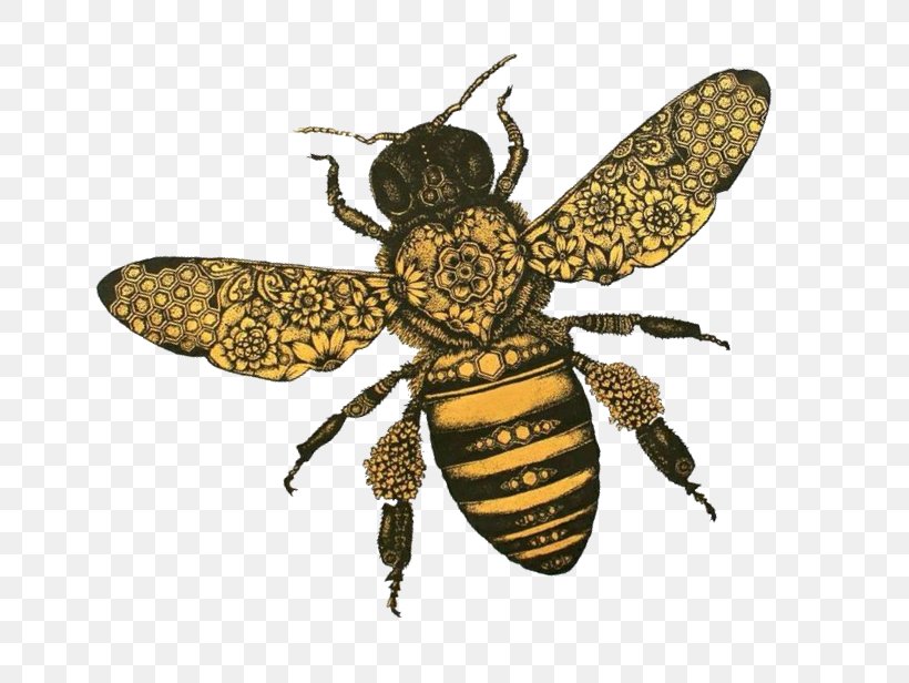 Western Honey Bee T-shirt Insect Hopeless Fountain Kingdom World Tour, PNG, 736x616px, Bee, Arthropod, Drawing, Fly, Halsey Download Free