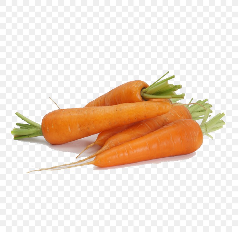 Baby Carrot Vegetable, PNG, 800x800px, Carrot, Baby Carrot, Bockwurst, Coreldraw, Daucus Carota Download Free