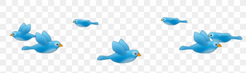 Desktop Wallpaper Image Bird Photograph Photo Booth, PNG, 2000x600px, Bird, Apple Color Emoji, Blue, Collage, Drawing Download Free