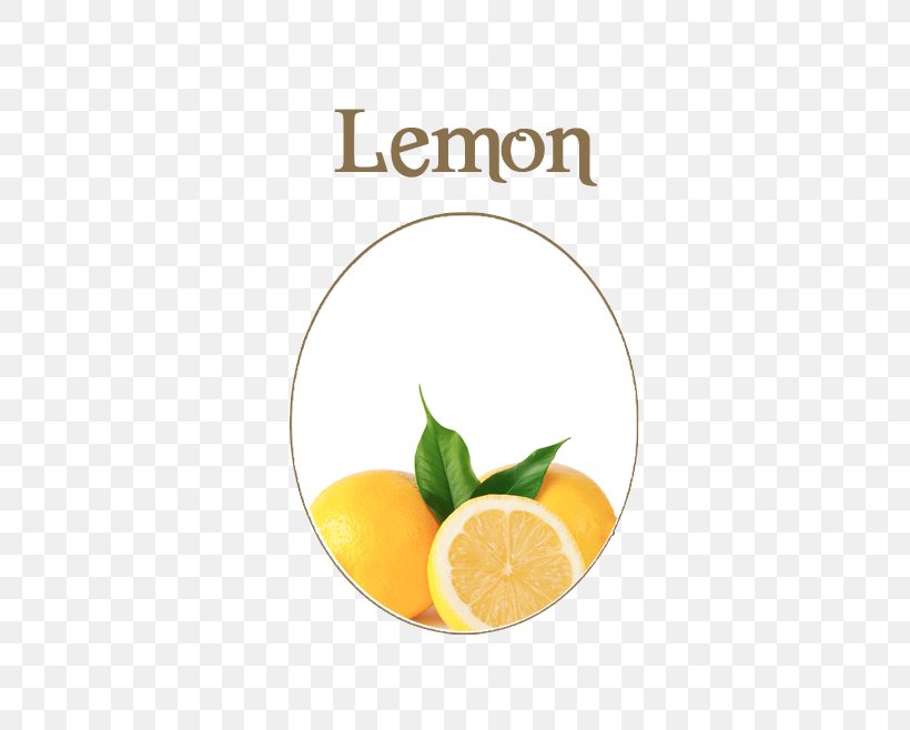 Lemon-lime Drink Orange Drink Lemonade Orange Juice, PNG, 566x658px, Lemon, Castile Soap, Citric Acid, Citroenolie, Citrus Download Free