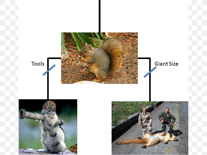 Prairie Dog Rodent Eastern Gray Squirrel Phylogenetic Tree Tree Squirrel, PNG, 674x612px, Prairie Dog, Adaptation, Biology, Chipmunk, Eastern Gray Squirrel Download Free