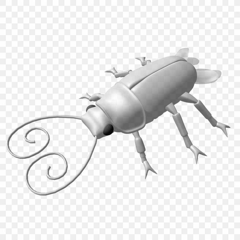 Beetle Product Design Pest, PNG, 2048x2048px, Beetle, Arthropod, Insect, Invertebrate, Membrane Winged Insect Download Free