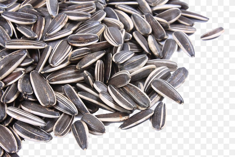 Nut Common Sunflower Sunflower Seed Snack, PNG, 1024x683px, Nut, Common Sunflower, Food, Ingredient, Kuaci Download Free