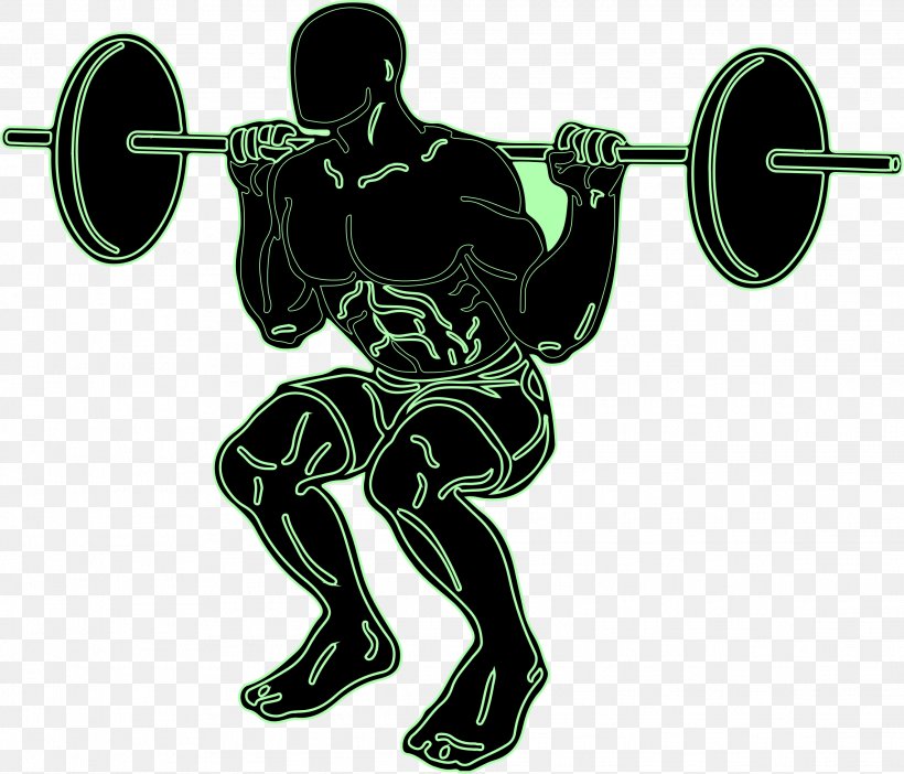 Olympic Weightlifting Squat Weight Training Clip Art, PNG, 2276x1949px, Olympic Weightlifting, Arm, Barbell, Exercise Equipment, Joint Download Free