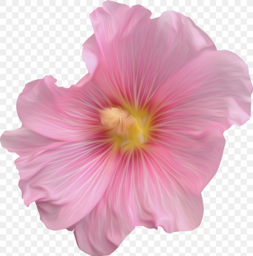 Rosemallows Cut Flowers Rose Family Pink M, PNG, 1011x1024px, Rosemallows, Annual Plant, Cut Flowers, Flower, Flowering Plant Download Free