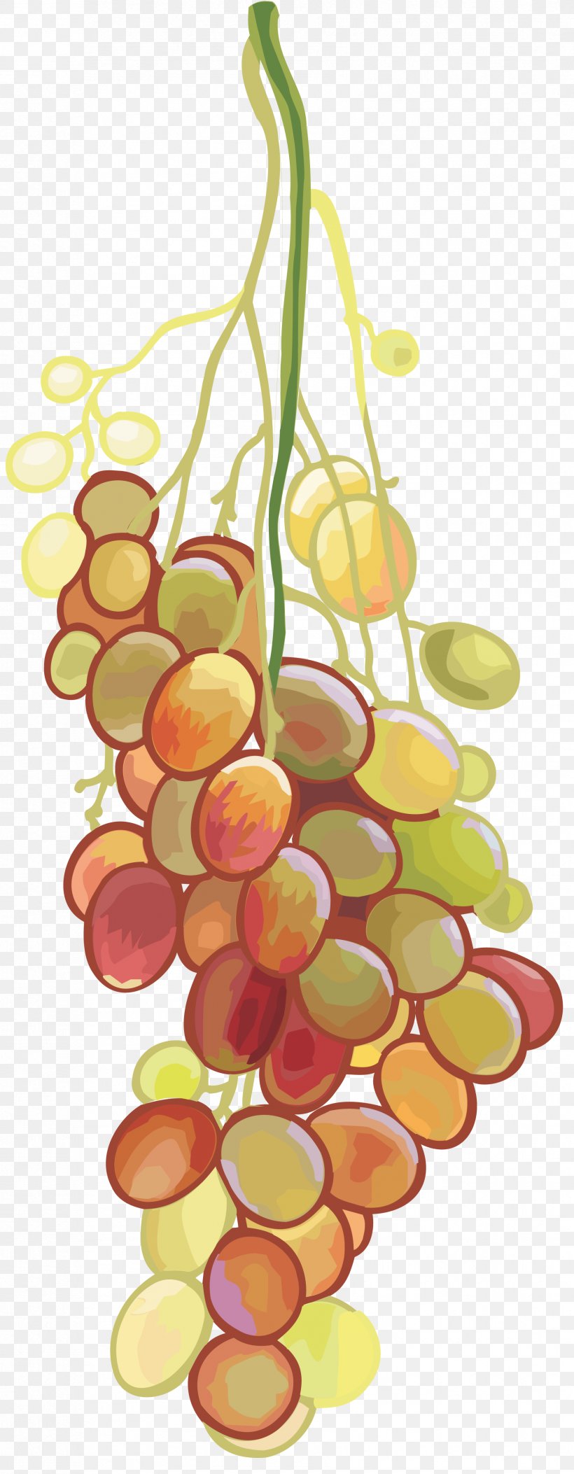 Wine Grapes Fruit Clip Art, PNG, 1781x4576px, Grape, Auglis, Coreldraw, Flowering Plant, Food Download Free