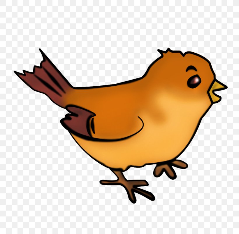 Beak Cartoon Wildlife Chicken As Food Clip Art, PNG, 800x800px, Beak, Artwork, Bird, Cartoon, Chicken Download Free