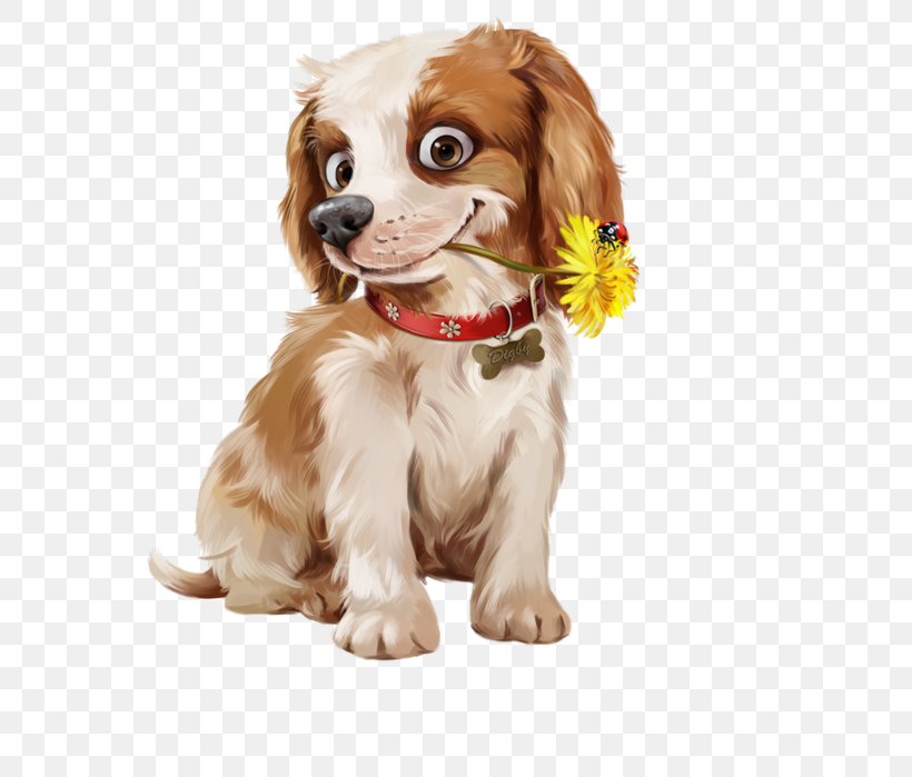 Morning Greeting Friday, PNG, 591x699px, Morning, Birthday, Carnivoran, Cavalier King Charles Spaniel, Companion Dog Download Free