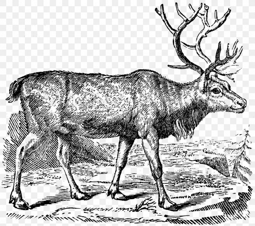 Reindeer Moose Santa Claus Clip Art, PNG, 1390x1235px, Reindeer, Antelope, Antique, Antler, Black And White Download Free