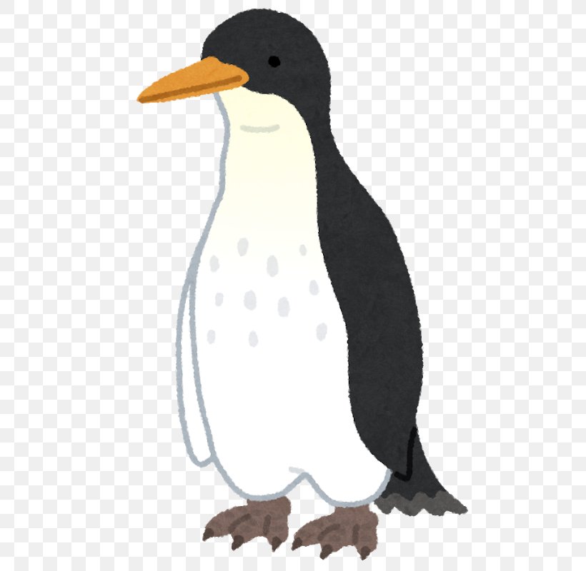 Penguin Antarctica Anthropornis いらすとや, PNG, 709x800px, Penguin, Animal, Antarctic, Antarctica, Beak Download Free