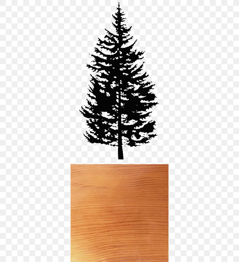 Spruce Fir Pine Clip Art Drawing, PNG, 336x900px, Spruce, Christmas Decoration, Christmas Ornament, Christmas Tree, Conifer Download Free