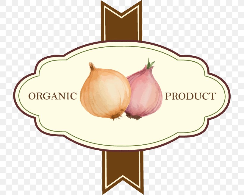Vegetable Fruit Onion Label, PNG, 731x655px, Vegetable, Food, Fruit, Label, Onion Download Free