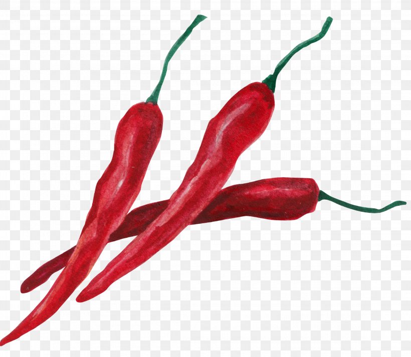 Birds Eye Chili Serrano Pepper Cayenne Pepper Habanero Bell Pepper, PNG, 2300x2000px, Birds Eye Chili, Bell Pepper, Bell Peppers And Chili Peppers, Bird S Eye Chili, Capsicum Download Free