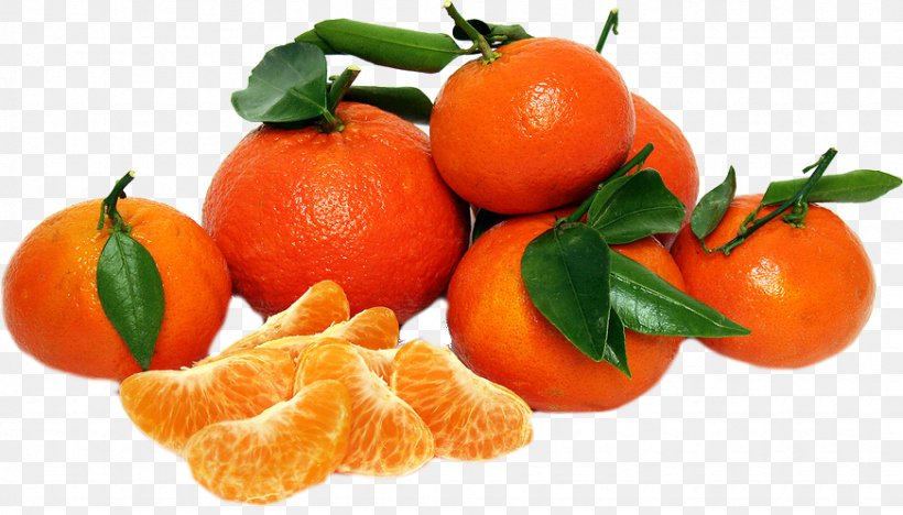Tangerine Mandarin Orange Murcott Ripening, PNG, 872x498px, Tangerine, Bitter Orange, Chenpi, Citrus, Clementine Download Free