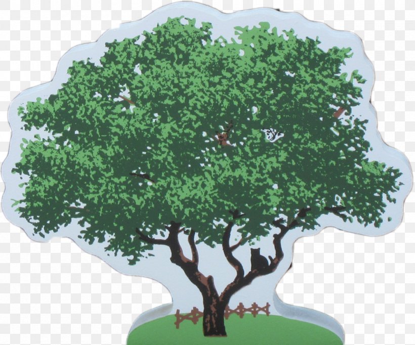 Tree Oak Sageretia Theezans Shrub Cat, PNG, 1000x832px, Tree, Blog, Building, Cat, Digital Media Download Free