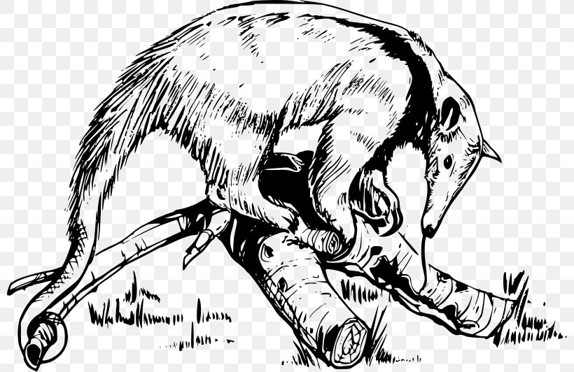 Anteater Sloth Aardvark Armadillo, PNG, 800x532px, Anteater, Aardvark, Ant, Armadillo, Art Download Free