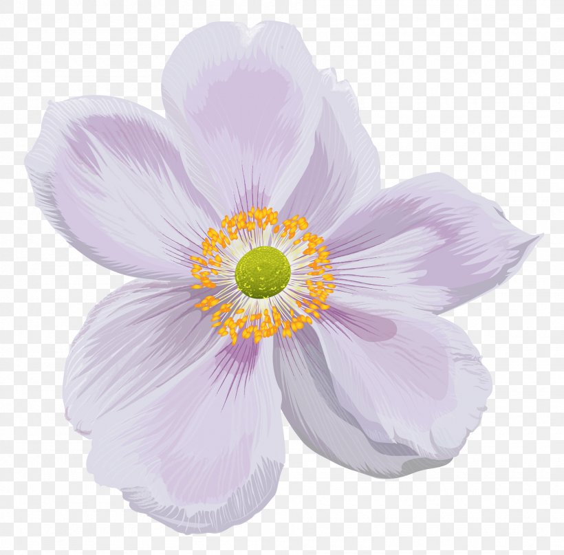 Background Flower, PNG, 1920x1890px, Anemone, Flower, Japanese Anemone, Perennial Plant, Petal Download Free