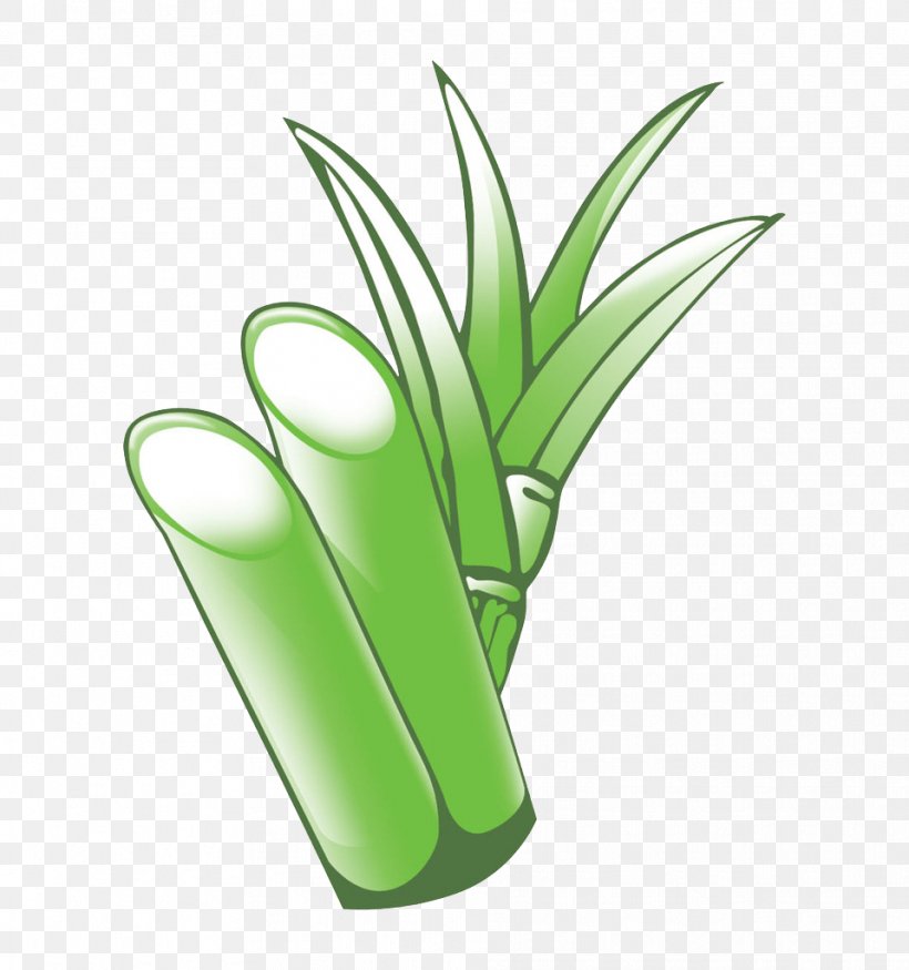 Bamboo Bamboe Download, PNG, 959x1024px, Bamboo, Alternative Medicine, Bamboe, Flower, Flowerpot Download Free