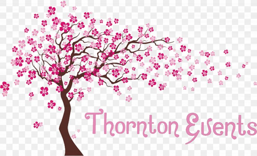 Cherry Blossom, PNG, 5405x3292px, Pink, Blossom, Branch, Cherry Blossom, Flower Download Free
