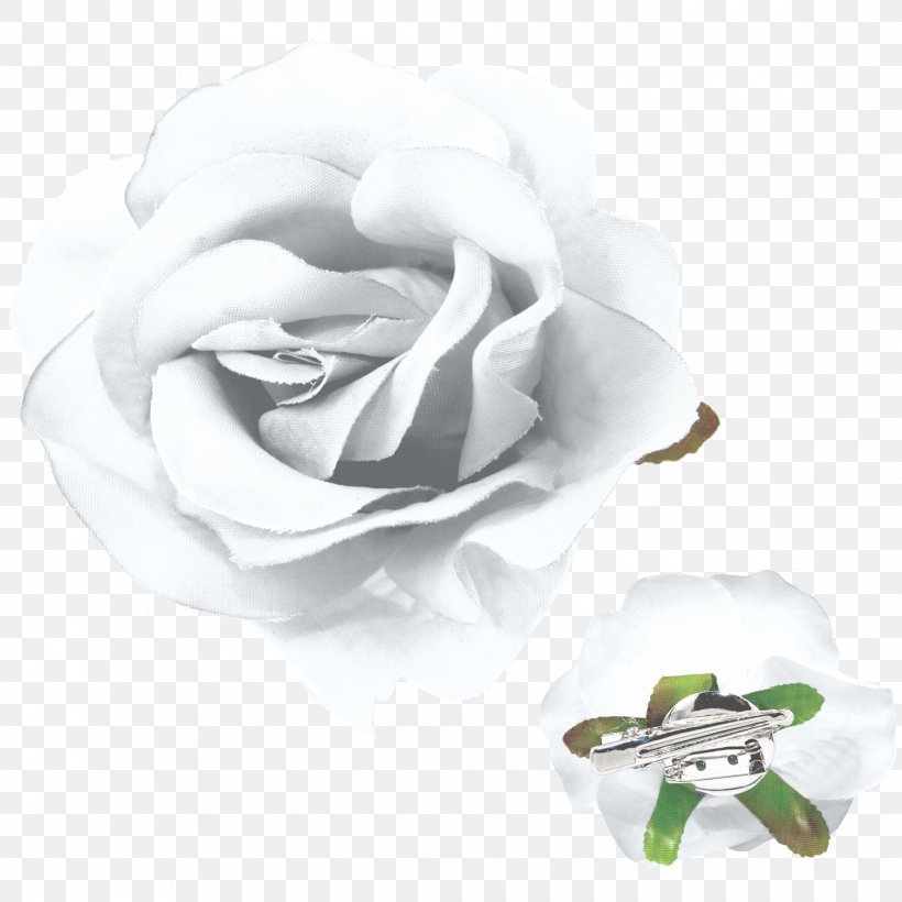 Garden Roses Cut Flowers Petal, PNG, 2320x2320px, Garden Roses, Cut Flowers, Flower, Flowering Plant, Garden Download Free