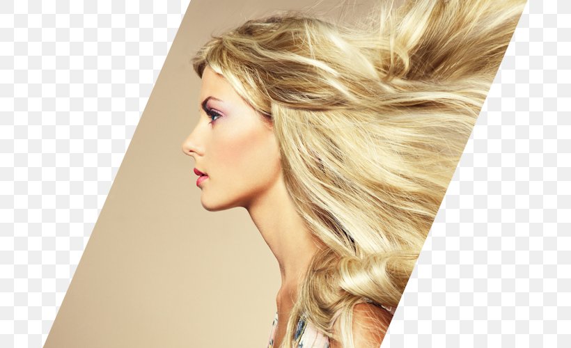 Hairstyle Beauty Parlour Hair Care Hairdresser, PNG, 697x500px, Hair, Artificial Hair Integrations, Beauty, Beauty Parlour, Blond Download Free