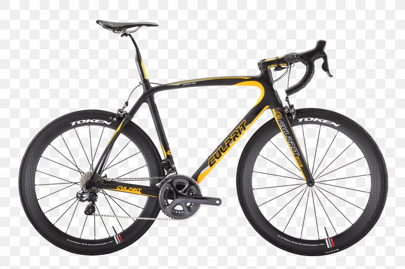 Racing Bicycle Focus Bikes Cyclo-cross Bicycle, PNG, 1600x1067px, Bicycle, Author, Bicycle Accessory, Bicycle Fork, Bicycle Forks Download Free