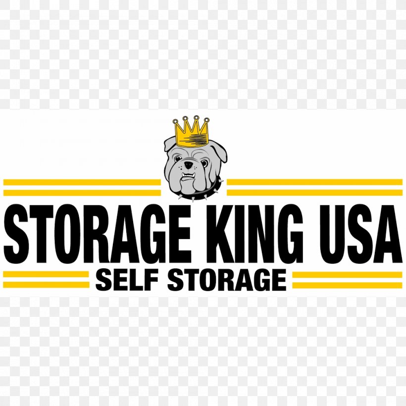 Storage King USA Self Storage Florida United States, PNG, 1000x1000px, Self Storage, Area, Brand, Florida, Logo Download Free