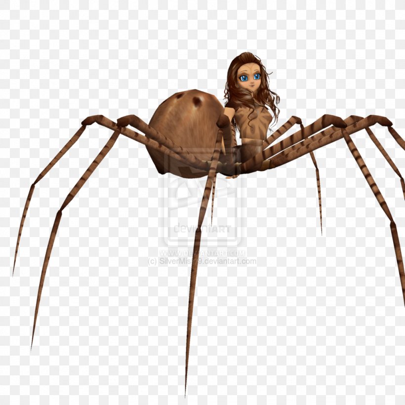 Angulate Orbweavers Video Game Development Widow Spiders, PNG, 1024x1024px, Angulate Orbweavers, Arachnid, Araneus, Arthropod, Black Widow Download Free