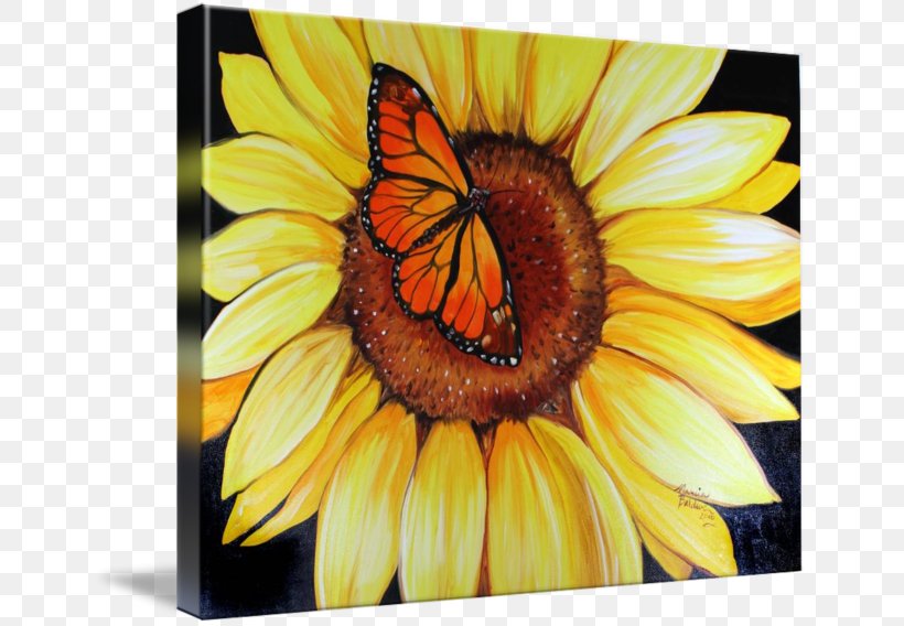 Monarch Butterfly Common Sunflower Insect, PNG, 650x568px, Butterfly, Art, Brush Footed Butterfly, Butterflies And Moths, Butterfly Gardening Download Free