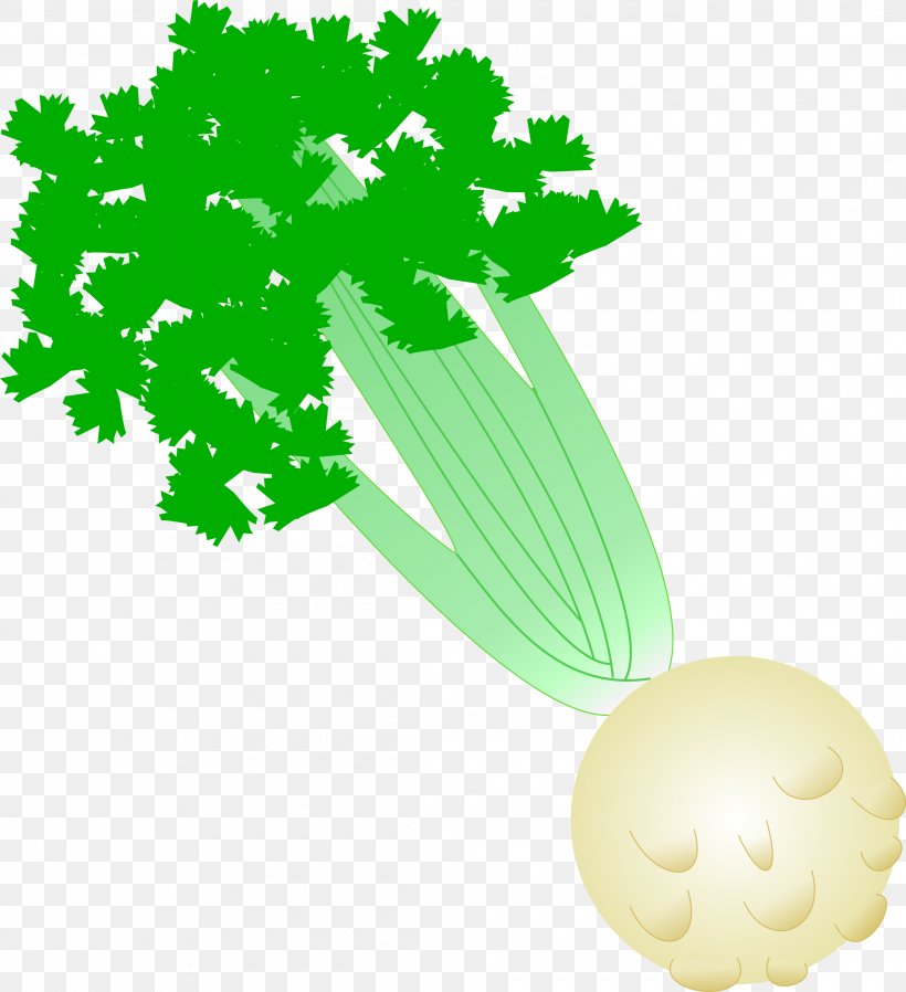 Celery Vegetable Celeriac Clip Art, PNG, 2190x2400px, Celery, Celeriac, Flower, Flowering Plant, Food Download Free