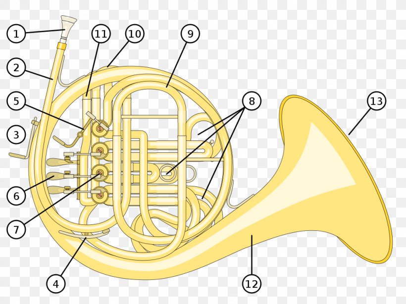 French Horns Natural Horn Musical Instruments Brass Instruments German Horn, PNG, 1024x768px, Watercolor, Cartoon, Flower, Frame, Heart Download Free
