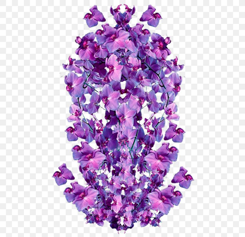 Lavender Violet Floral Design Amethyst Cut Flowers, PNG, 500x793px, Lavender, Amethyst, Cut Flowers, Family, Floral Design Download Free