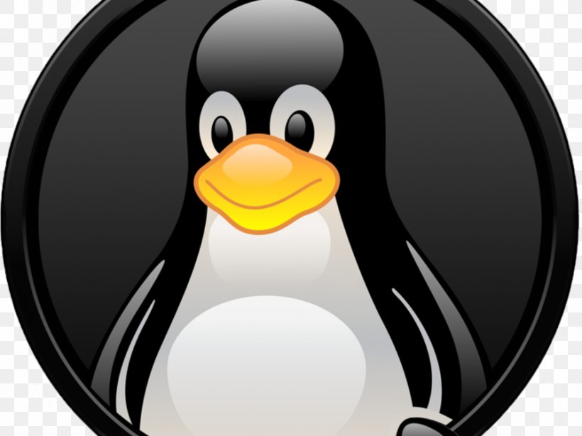 Linux Installation Web Hosting Service Computer Software Computer Servers, PNG, 894x670px, Linux, Beak, Bird, Computer Servers, Computer Software Download Free