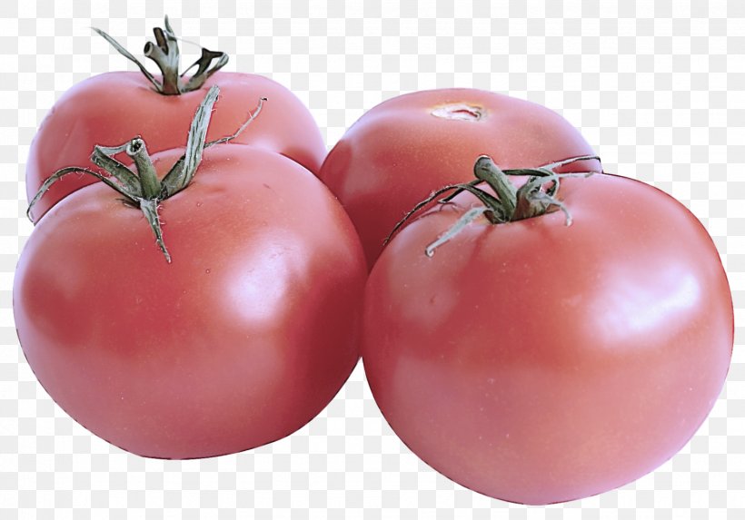 Tomato, PNG, 1534x1072px, Tomato, Bush Tomato, Food, Fruit, Natural Foods Download Free