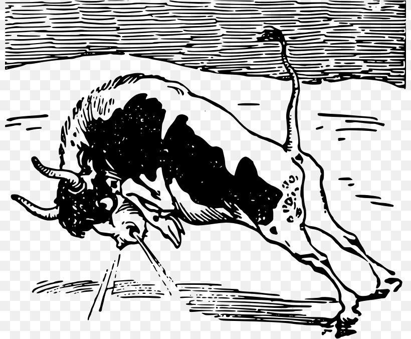 Bull Cattle Ox Black And White, PNG, 800x676px, Bull, Art, Black And White, Carnivoran, Cartoon Download Free