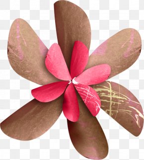 Salam Flower Paper - Cloth Napkins Paper Product Design Petal PNG