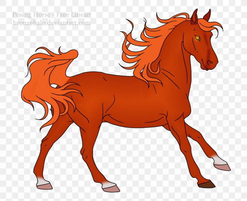 Foal Stallion Mane Mare Colt, PNG, 858x700px, Foal, Art, Bridle, Cartoon, Colt Download Free