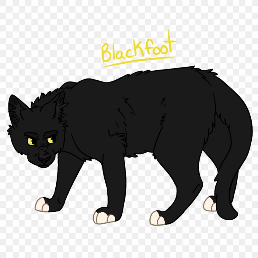 Black Cat Manx Cat Whiskers Domestic Short-haired Cat Into The Wild, PNG, 894x894px, Black Cat, Big Cats, Black, Blackstar, Book Download Free