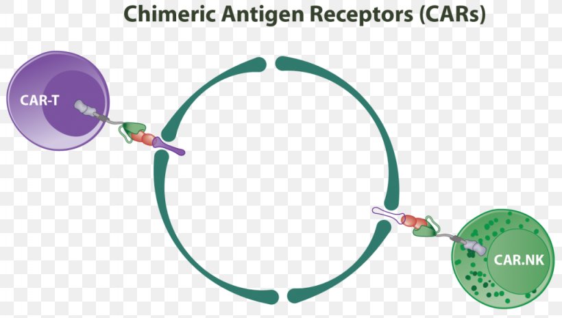 Chimeric Antigen Receptor Natural Killer Cell T Cell, PNG, 1024x580px, Chimeric Antigen Receptor, Antibody, Antigen, Antigenpresenting Cell, Auto Part Download Free
